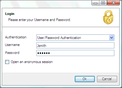 Authentication in a Web application with a Username-Password Account
